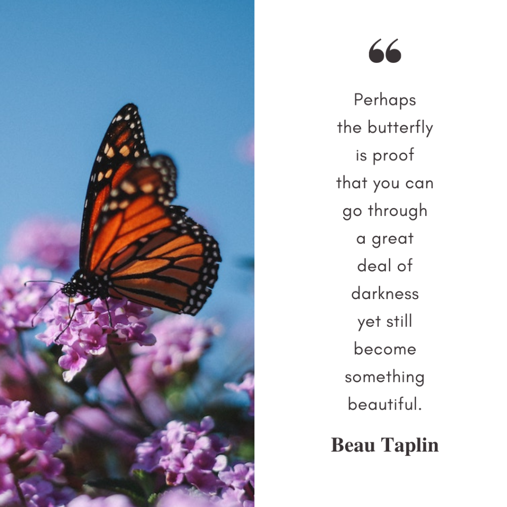 A split image with a picture of a monarch butterfly on the left. On the right, black text on a white background reads: Perhaps the butterfly is proof that you can go through a great deal of darkness yet still become something beautiful. Beau Taplin.