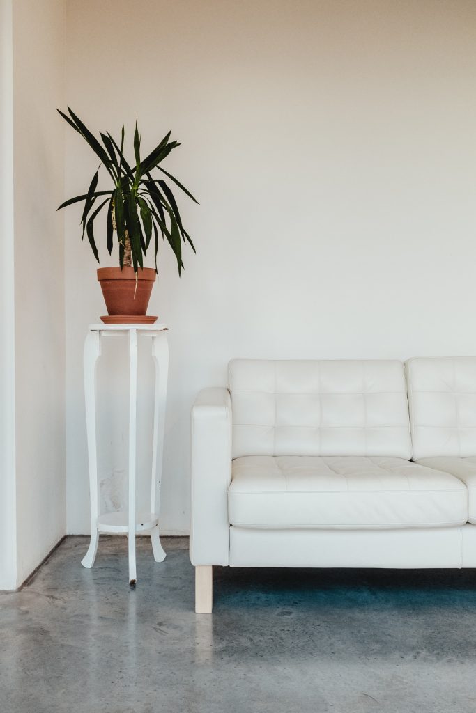 A photo of a minimalist interior, with a white couch pressed against a white wall, and an indoor plant sat upon a white table in the corner. Minimalist design is not the same as frugal minimalism and sustainability.